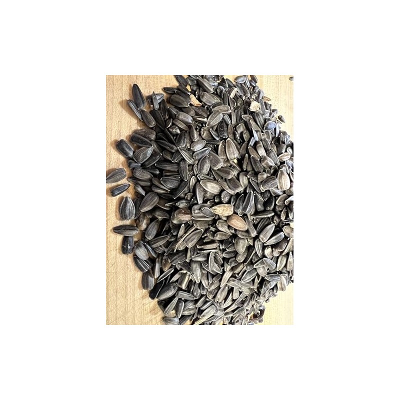 Black Oil Sunflower Seeds Non GMO Organic for Planting or