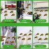 300ml Anti Mites Spray Household Plant Extraction Quick Mite Removal