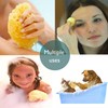Pasiphae Unbleached Honeycomb 100% Natural Bath Sea Sponge from Greece,