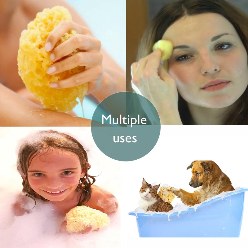 Pasiphae Unbleached Honeycomb 100% Natural Bath Sea Sponge from Greece,