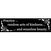 Practice Random Acts of Kindness and Senseless Beauty Bumper Sticker