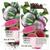 Seed Needs, Watermelon Radish (Raphanus sativus) Twin Pack of 500