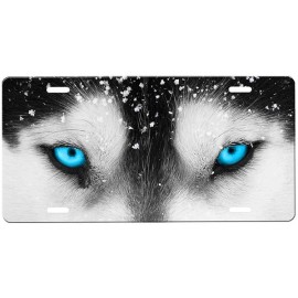 Onestopairbrushshop Wolf Eyes license plate