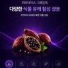 Charm goods Paradise Grain Burning Paradise Grain Extract 6 Paradol