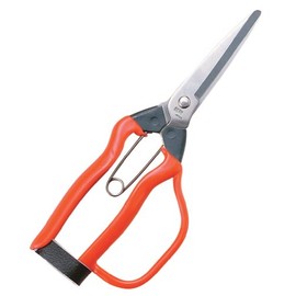 Koshiji J-3G Stainless Steel Harvest Shears with Guard