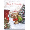doodlecards Son and Family Christmas Card Cute Bear Posting a