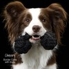 Pet Passion 3-Pack Organic Cotton Dog Rope Pull Toys for