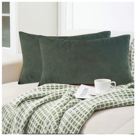 Aitliving Pack of 2 Cotton Velvet Decorative Velvet Lumbar Accent Throw Pillowcase, Olive Green 12x20 Soft Solid Classic Both Sides Rectangle Bolster Cushion Pillow Covers for Sofa Couch Bedroom Car