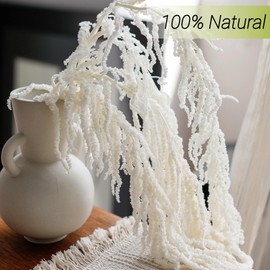 Glicrili 10Pcs Natural Dried Wisteria Hanging Flowers - 23" Bleached White Preserved Amaranthus for Wedding Decor, Dry Flowers Arrangement, Garlands, Home Decor, Vase Filler, Wall Decoration
