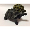 Turtle figure 2 Body 1 Pairs hosigame・arudaburazougame Buildable in Egg