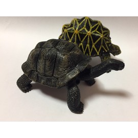 Turtle figure 2 Body 1 Pairs hosigame・arudaburazougame Buildable in Egg Case