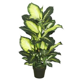 Vickerman TA170201 Everyday Dieffenbachia Tree