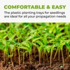 DL Wholesale 10 x 20 Plant Propagation Tray Plastic for