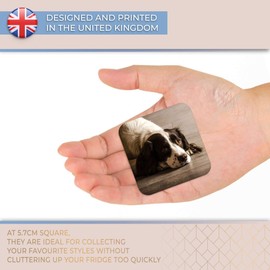 Destination Vinyl ltd Fridge Magnet - Springer Spaniel Dog Puppy Animals 8725