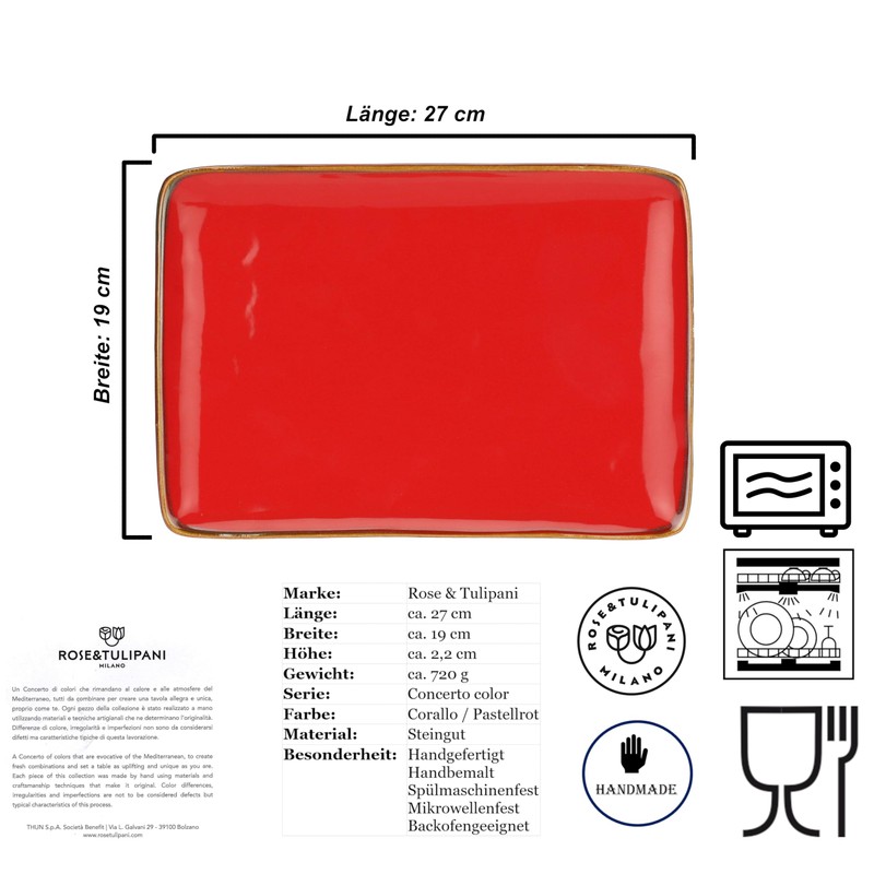 Generic Rectangular Plate, Serving Plate, Large Plate, Stoneware, 27 x