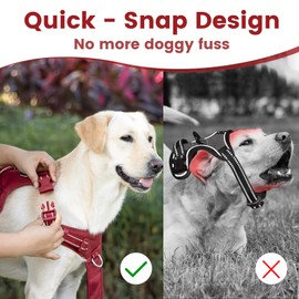 Sunraymascota No Pull Dog Harness, Reflective Puppy Vest for Small Medium Large Sized Dog(Burgundy Red,XS)