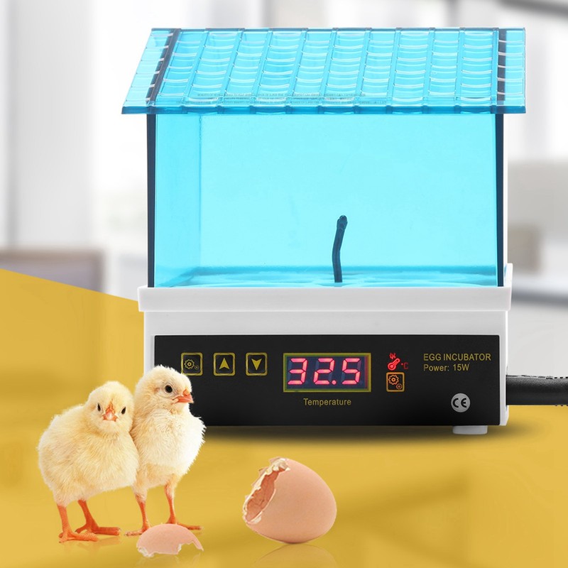 4 Eggs Incubator Temperature Control Digital Chicken Chick Duck Hatcher