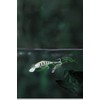 Fishing Superior Braided Fishing Line -Abrasion Resistant Ultra-Sensitive Super Tensile