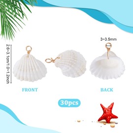 PH PandaHall Natural Seashells Charms, Shell Charms Ocean Sea Beach Seashells with Golden Loop Bail for Summer Jewellery Earrings Bracelets Neclaces Crafts Making Decoration (White, 26~31mm)