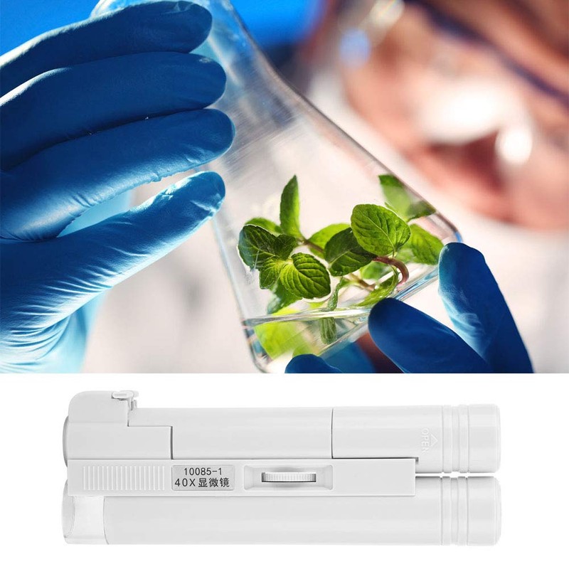Plastic Magnifier LED Microscope Handheld Pocket Sized Microscope 40X Zoom