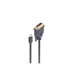Shiverpeaks Mini DisplayPort 1.2/DVI-D 24 + 1 Male 5 m