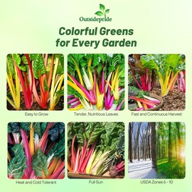 Outsidepride Mix Swiss Chard Seeds for Planting Vegetables & Microgreens - 2000 Pcs Vibrant, Tasty & Highly Nutritious Biennial Vegetable Seeds for Garden Beds, Borders, & Containers