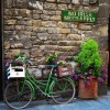 KooLL No Irish Need Apply Tin Sign, Vintage Metal Wall