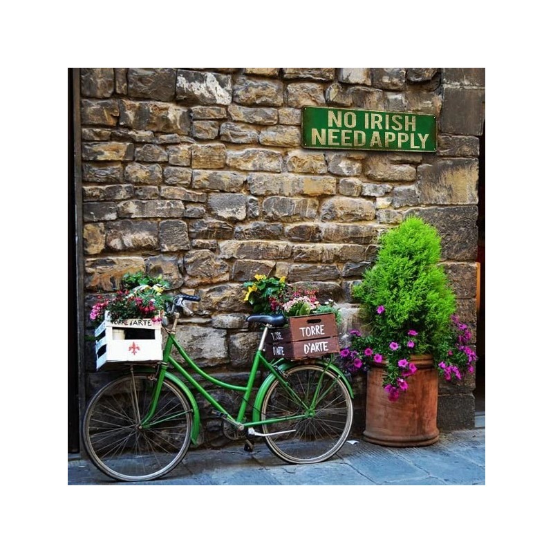 KooLL No Irish Need Apply Tin Sign, Vintage Metal Wall