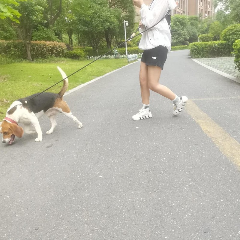 Kitekorosso スリップリード 肩掛け 多機能 ハンズフリー 2.6m たすき掛け トレーニングリーシュ ドッグリーシュ 犬用リード