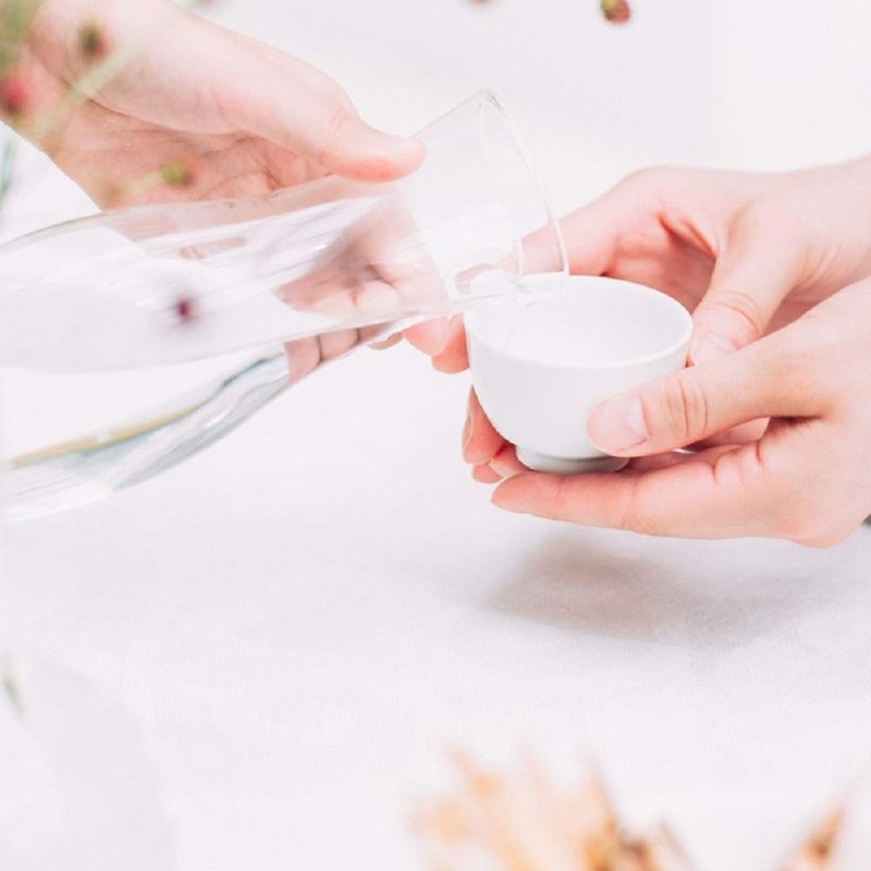 Hario "Iki" Sake Decanter, 300ml, Clear