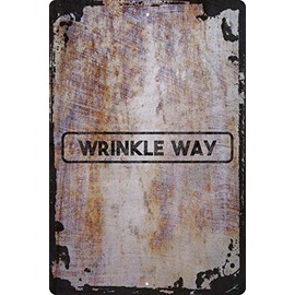 Wall Art Tin Sign Wrinkle way funny street sign old aging elderly Beige Home Decor Funny Gift 12 x 8 Inch