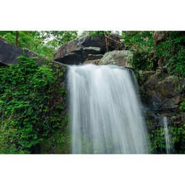 Waterfall Aquarium Background Jungle Plants Large Rocks Terrarium Background Falls Green Plants Natural Landscape Fish Tank Background Waterfall Rock Style Reptile Habitat Background Vinyl 30x12in