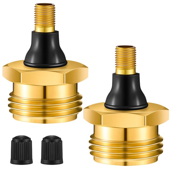 Ceoighe 2 Pcs Brass Blow Out Plug for RV Antifreeze,
