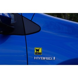 Car Stickers, Cat In Home