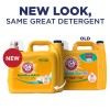 ARM & HAMMER Sensitive Skin Plus Fresh Scent, Laundry Detergent,