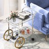 Tangkula Bar Cart for The Home, 2-Tier Rolling Tempered Glass
