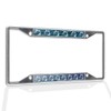 Fastasticdeals Metal Insert License Plate Frame Jumping Dolphins with Blue