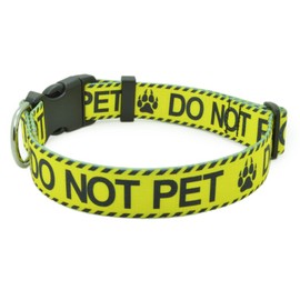 DWOOFG Dog Collar for DO NOT PET, Sturdy Durable with Buckle, Yellow Dog Collars for Small Medium Large Dogs, Premium Adjustable Polyester Pet Collar
