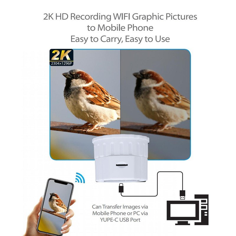 WiFi Wireless Digital Eyepiece 4MP 2K Video Recording Built in