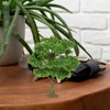 STOBAZA Miniature Trees Artificial Model Trees Sand Table Fake Tree