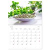 Helping herbs from the garden (Monthly Wall Calendar 2026 16.5"