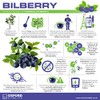 Bilberry Supplements | Extra Strength 4000mg Tablets for Eye Health