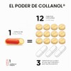 Collanol Innovacin en el cuidado de las articulaciones sanas frmula