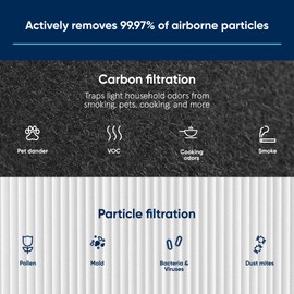 BLUEAIR 110410 Air Purifier Filter, Polypropelyne Fibres and Activated Coconut Shell Carbon