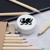 'Welsh Dragon' Compact Pencil Sharpener (PS00044991)