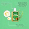 Champú Batana con Romero 100mL - Fortalece Raíces, Controla Aceite