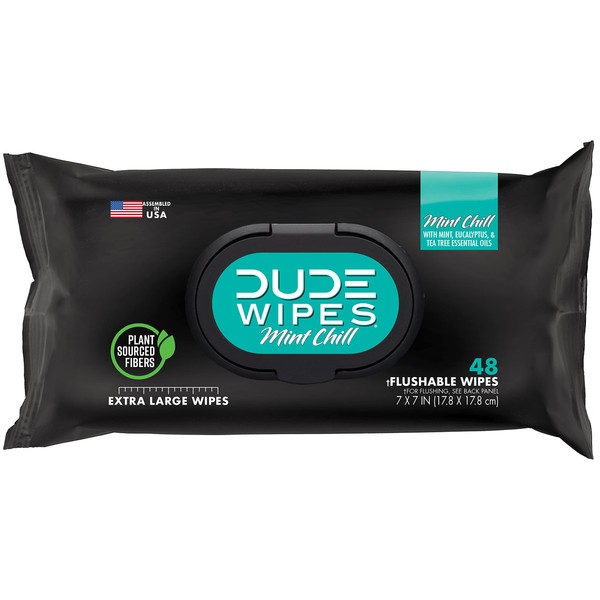 DUDE Wipes - Flushable Wipes - 1 Pack, 48 Wipes - Mint Chill Extra-Large Adult Wet Wipes - Eucalyptus & Tea Tree Oil - Sewer and Septic Safe