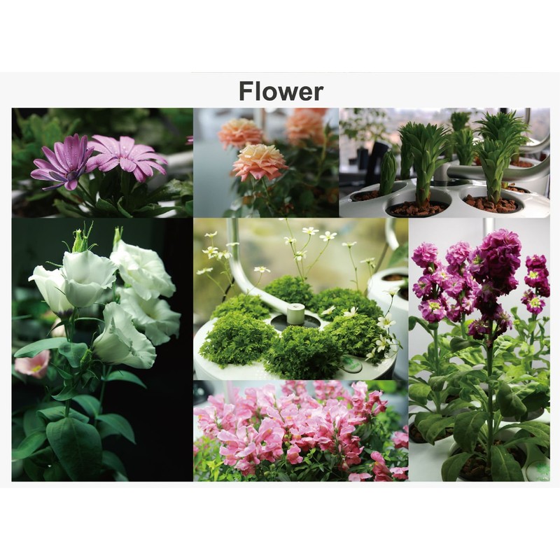 Smarson Indoor LED Light Hydroponic Garden, Grow Herbs, Vegetables and