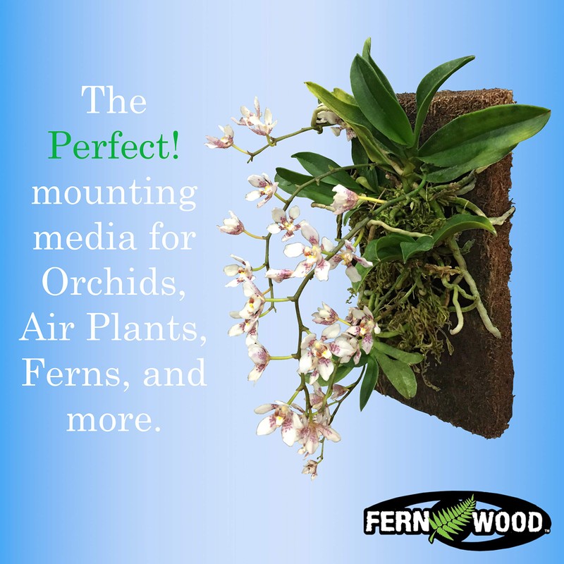 Fernwood Tree Fern Orchid Mounting Board- Soft, Durable, and Fibrous