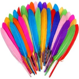 120pcs Goose Cochettes Feather 10-15cm Bulk Natural for Wedding Party Halloween Decorations DIY Cosplay Gothic Costumes CraftsColor: Champagne, Feather Size (L x W): 4-6Inch/120Pcs